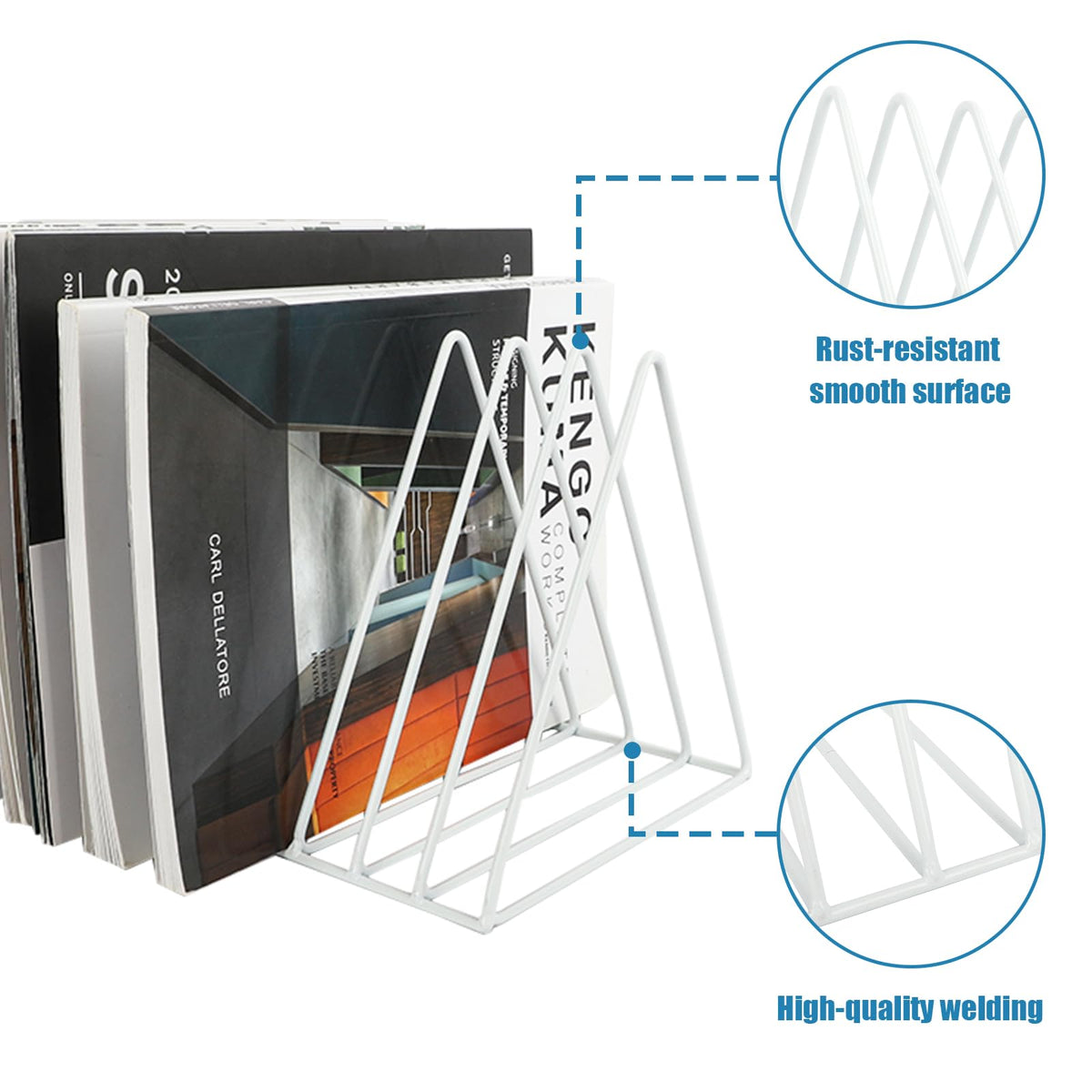 EASEPRES Vinyl Record Holder Storage, 9 Slot Metal Magazine Book Album Display Rack, Stylish