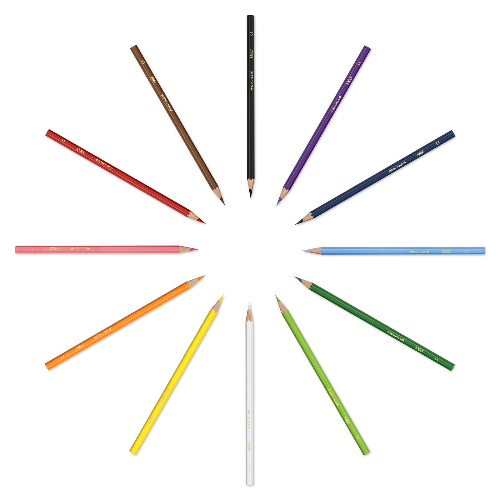 Bic Kids Aquacouleur Colouring Pencils 12 Pack