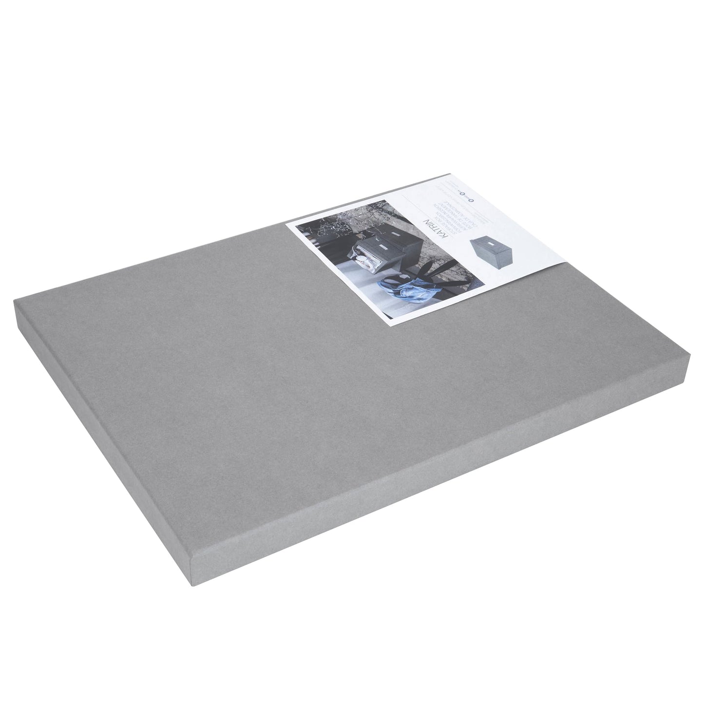 Bigso Box of Sweden Katrin Collapsible Storage Box with Labelframe for Easy Identification - Simple