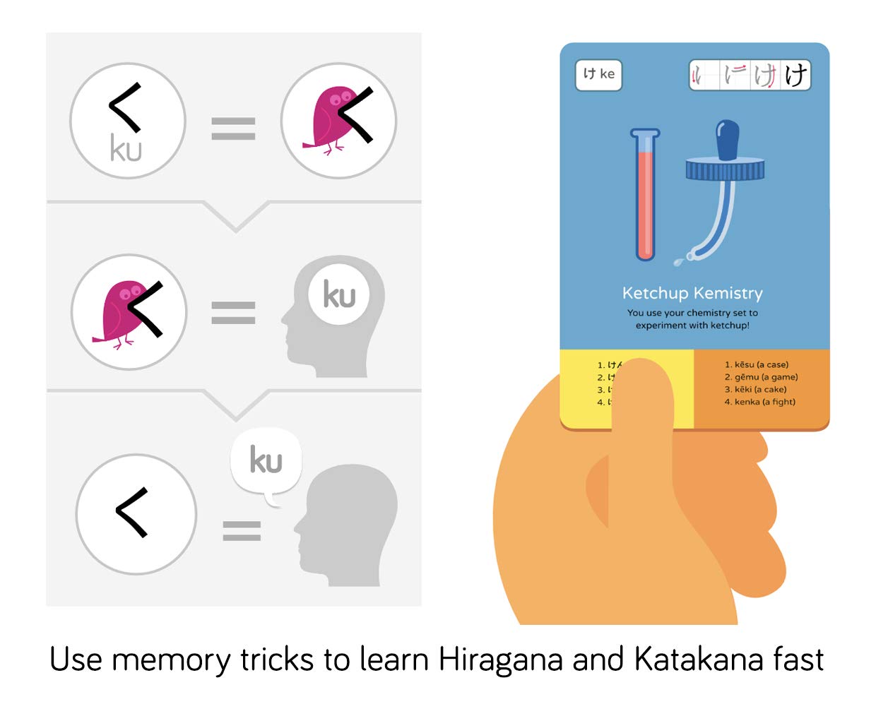 Dr. Moku's Hiragana & Katakana Flash Cards - Learn the Japanese Alphabet for Beginners