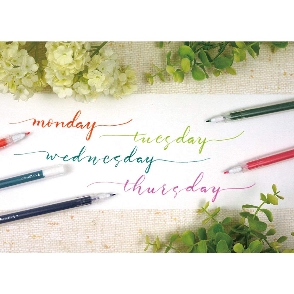 Kuretake ECF160-452 Pen Container, Chiseled Tip, Set of 5