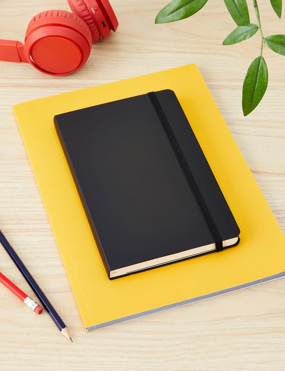 Moleskine Classic Notebook, Large, Dotted, Black, Hard Cover (5 x 8.25)