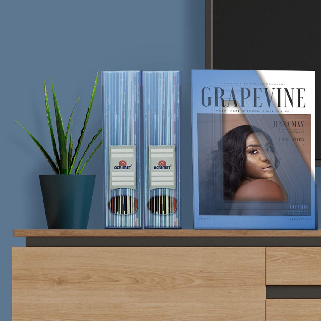 Acrimet Magazine File Holder, Vertical Desk Organizer, Clear Blue, 2 Pack