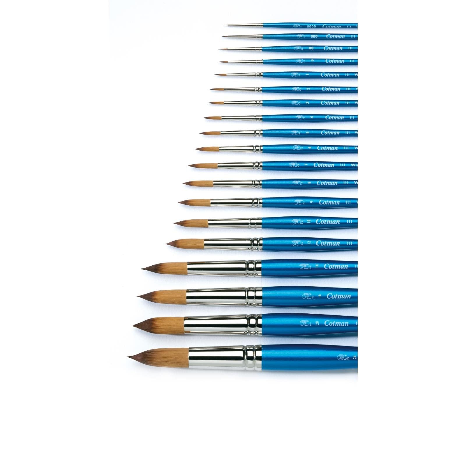 Winsor & Newton Cotman Short Handle Brushes, Set of 4, (Round 1, 4, & 6, One Stroke 3/8")