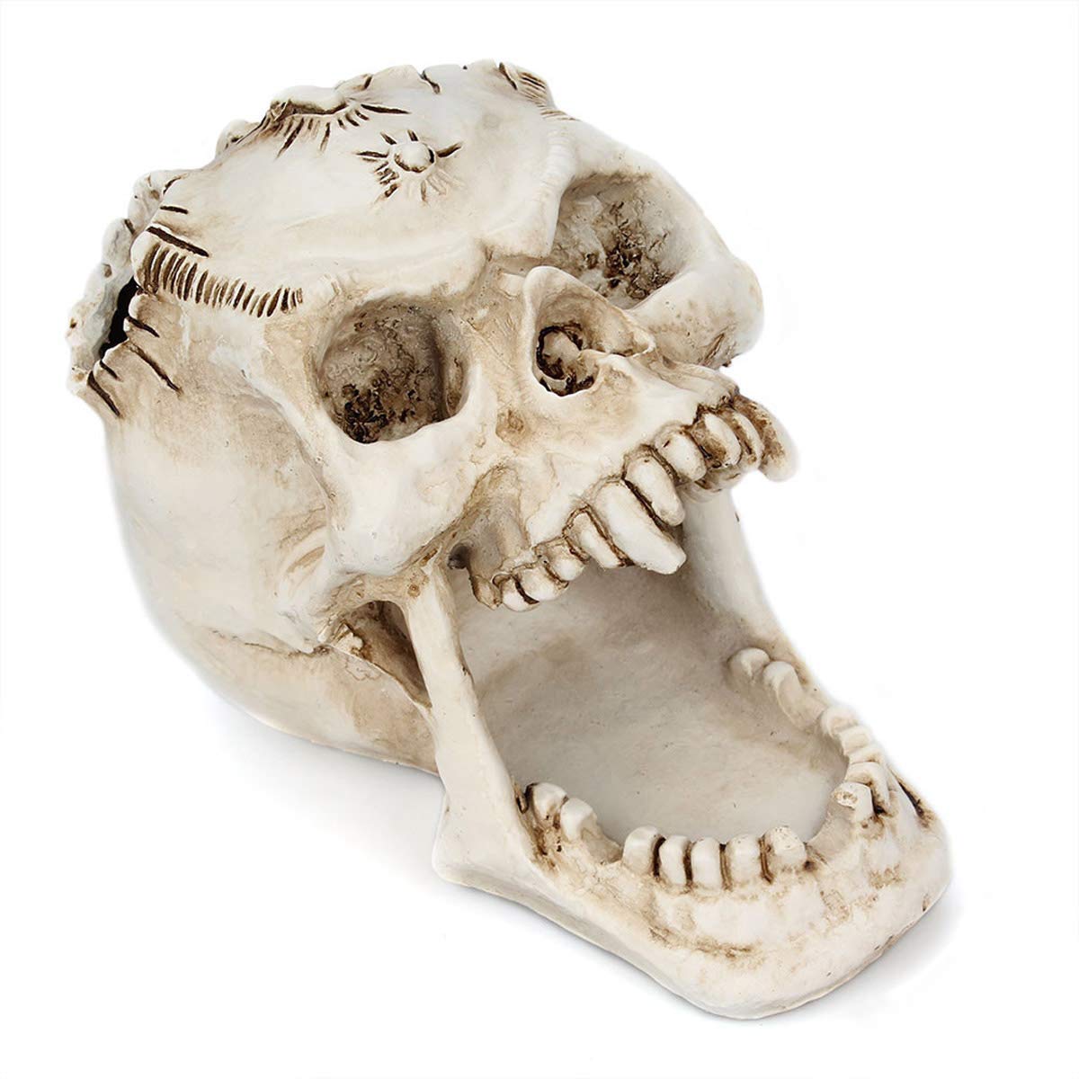 UnionKK 1 PCS Skull Pencil Holder Skeleton Pen Storage Organizer for Office Desk Skull Head Makeup