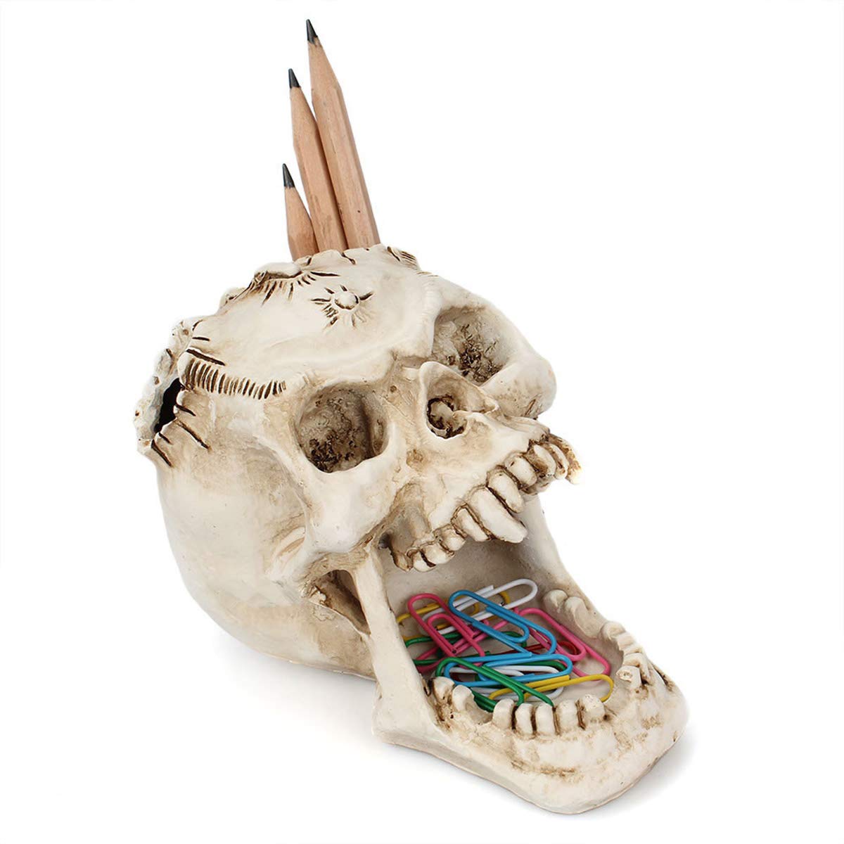 UnionKK 1 PCS Skull Pencil Holder Skeleton Pen Storage Organizer for Office Desk Skull Head Makeup