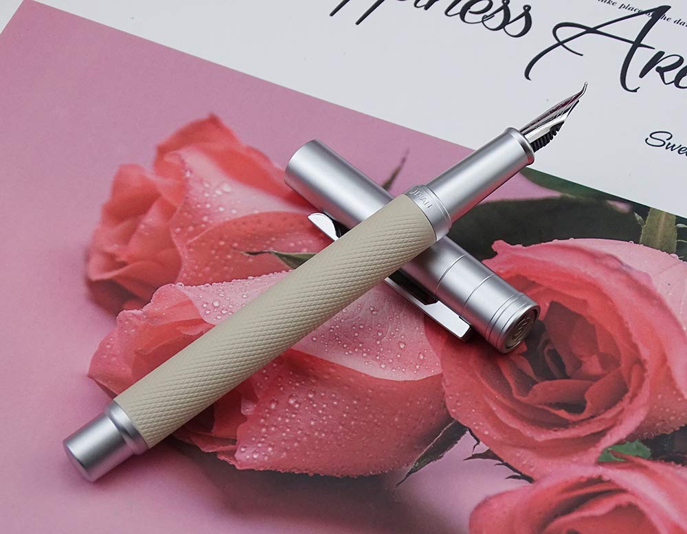 Hongdian Silver Birch Forest Fountain Pen Bent Nib Beautiful Tree Texture Excellent Writing Gift Pen