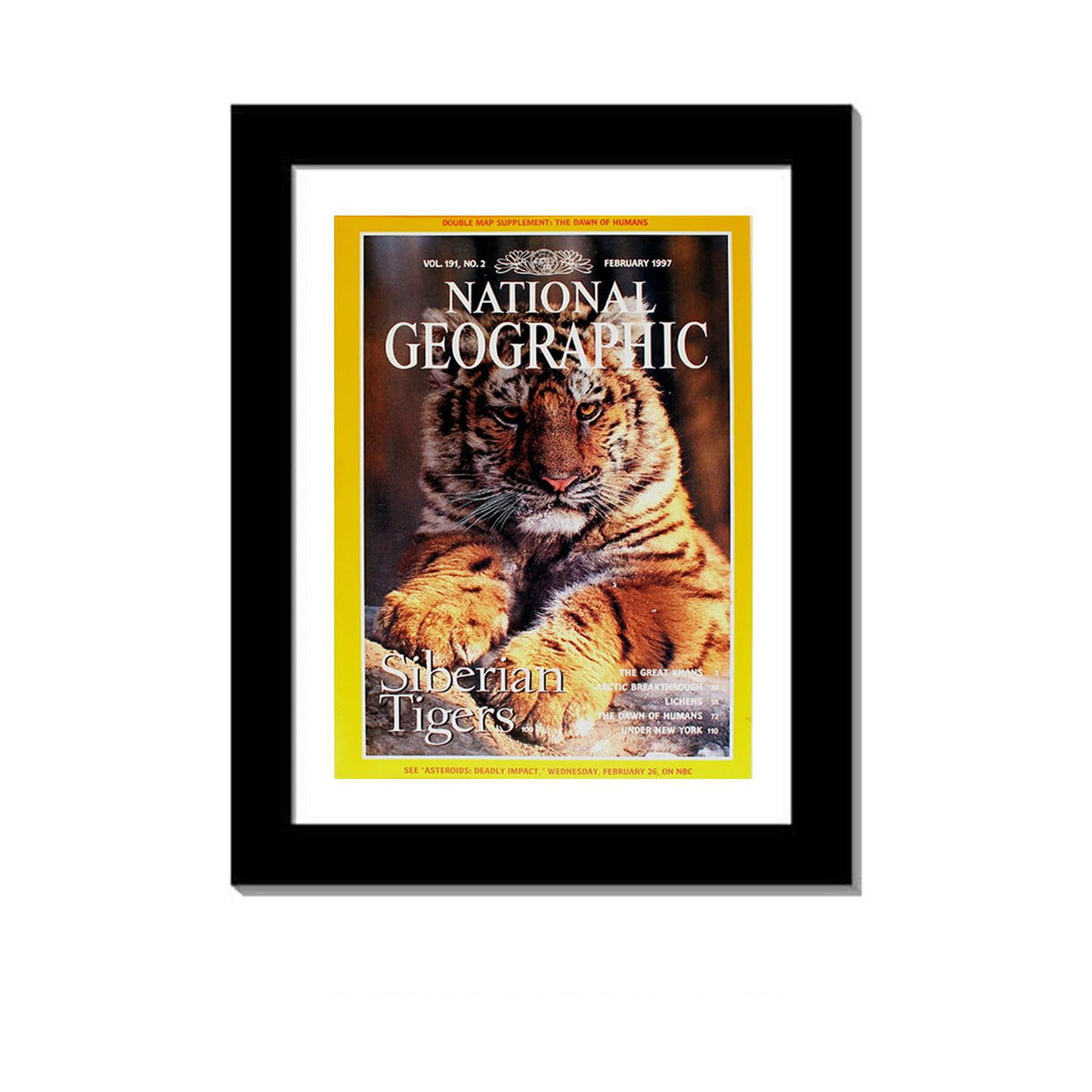 Creative Picture Frames 10 x 12 Magazine Frame with Full-Strength Glass, Holds Up To A 1/4" Thick