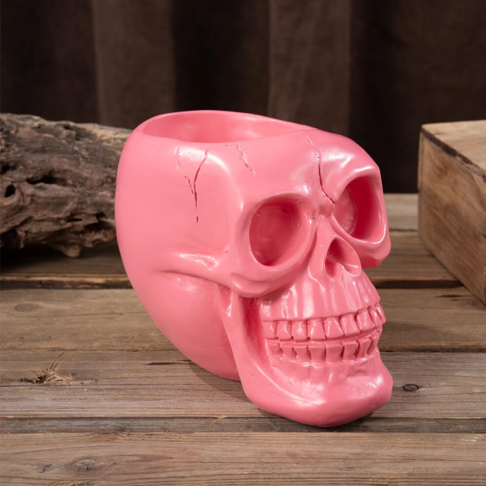Arola Pink Skull Pen & Pencil Holder Skeleton Key Holder Makeup Brush Holder flower pot Home Office