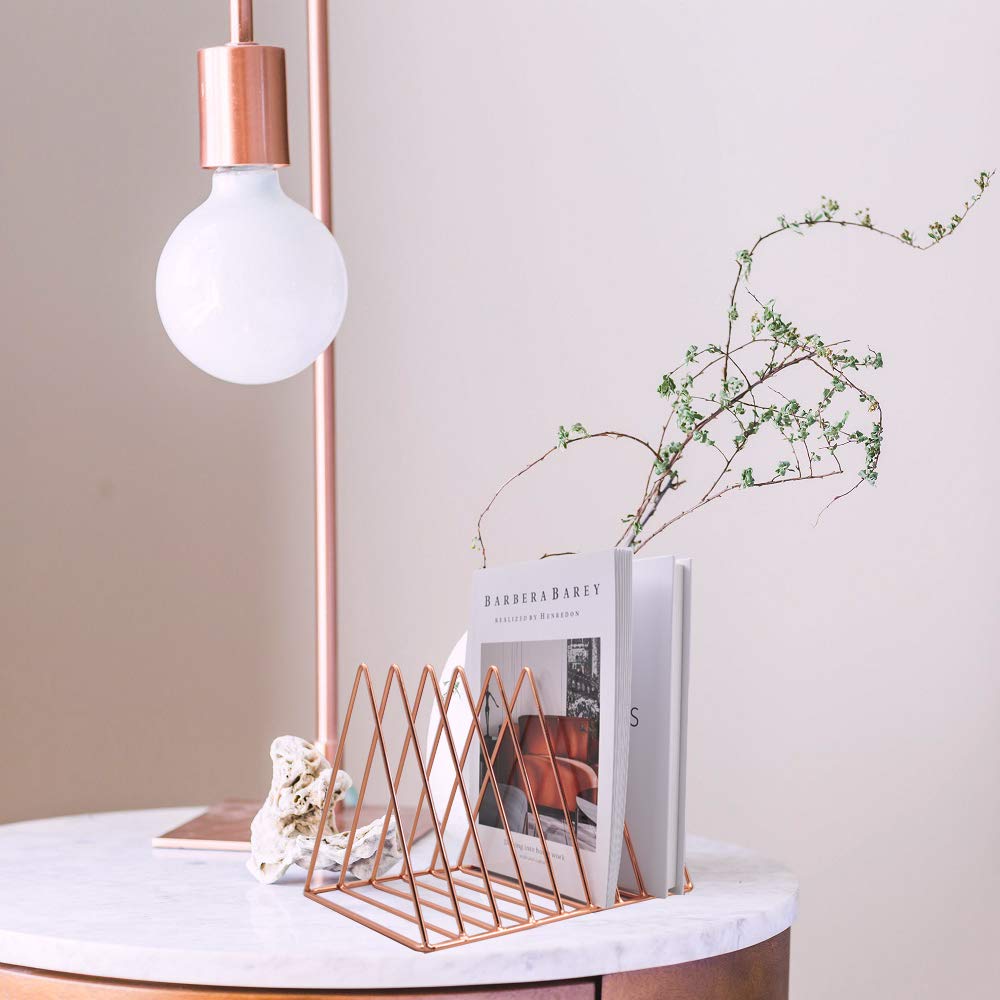 EASEPRES 9 Slot Magazine Rack Book Record Holder, Desktop Iron Storage Rack Bookshelf Multifunction