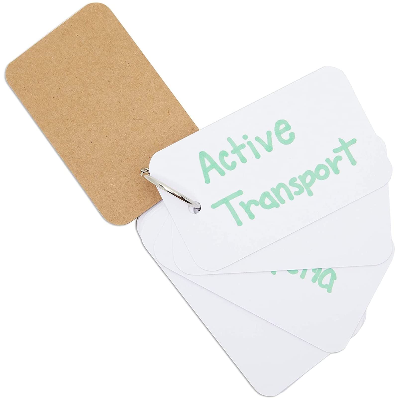 Blank Flash Cards - Notecards with Ring - Portable Mini Flashcards for Studying - Heavy 250 GSM