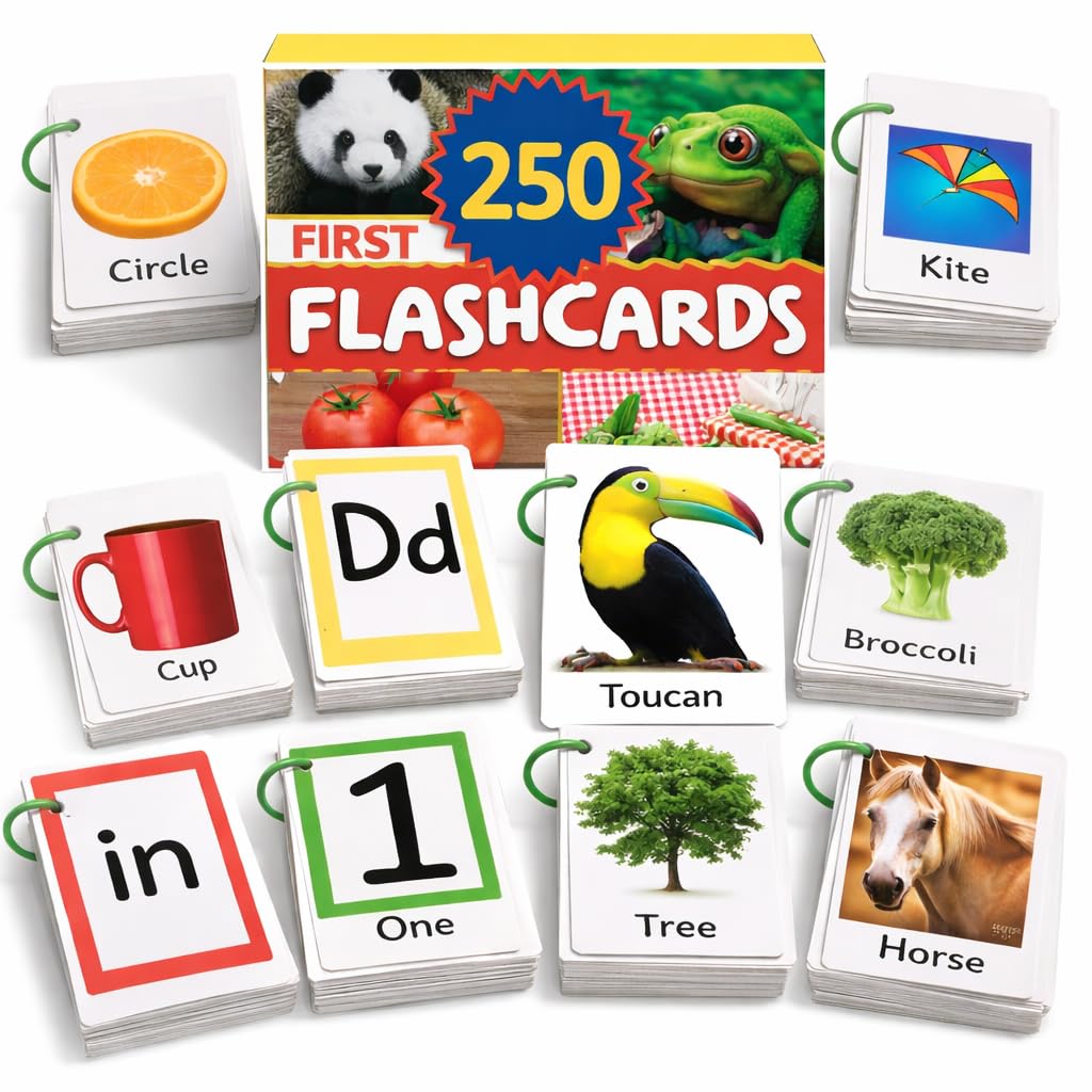 250 Flash Cards for Toddlers 1-3 with Rings, Toddler Flashcards with ABC Flash Cards Included