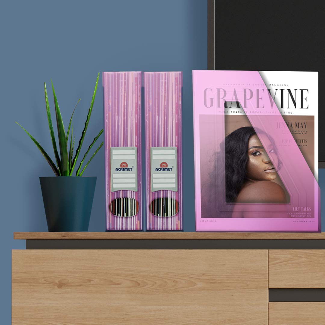Acrimet Magazine File Holder, Vertical Desk Organizer, Clear Pink, 2 Pack