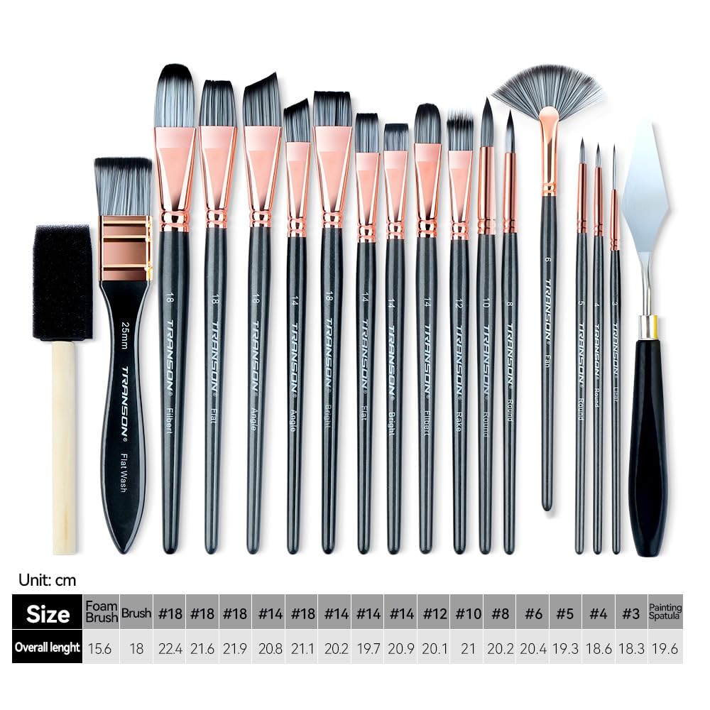 Transon 20Pcs Art Paint Brush Kit with Storage Case, 16 Brushes + Foam Brush Spatula Sponge for