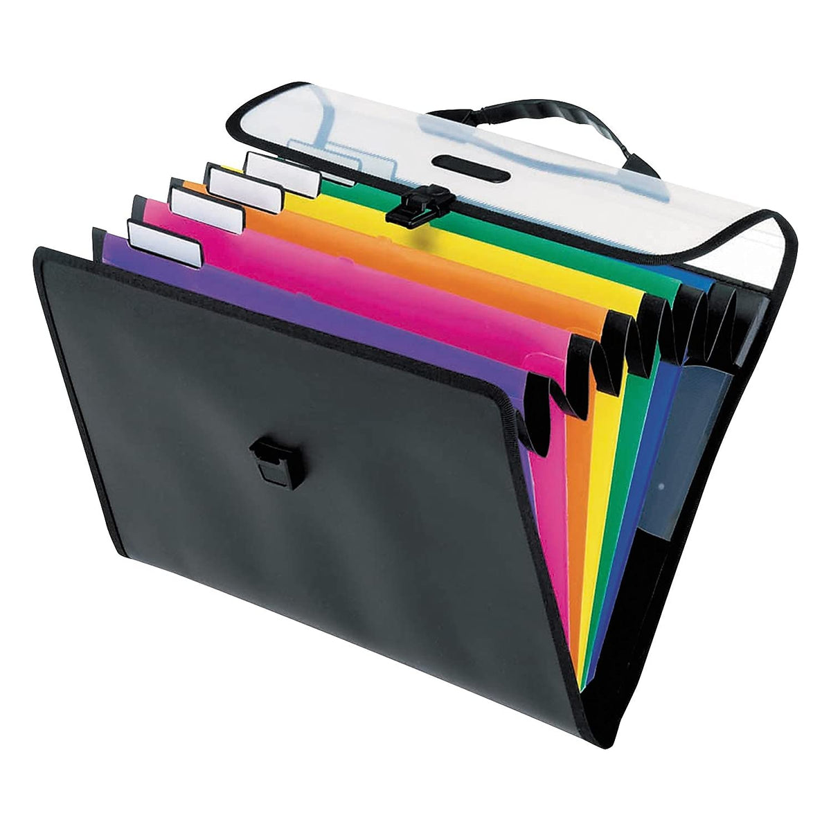 Pendaflex Hanging Organizer, All-in-1 Wall Organizer/Pocket Chart, Black with Bright Color Folders
