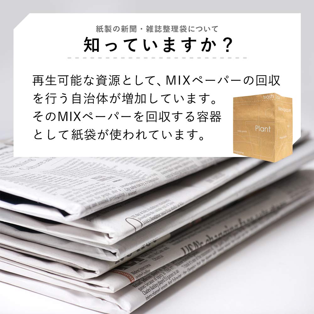 Nexta Paper Newspaper, Magazine Organizer, Made in Japan, Paper Bags, Height: Approx. 13.8 x Width: