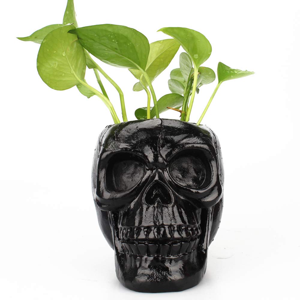 Arola Black Skull Pen & Pencil Holder Skeleton Key Holder Makeup Brush Holder flower pot Home