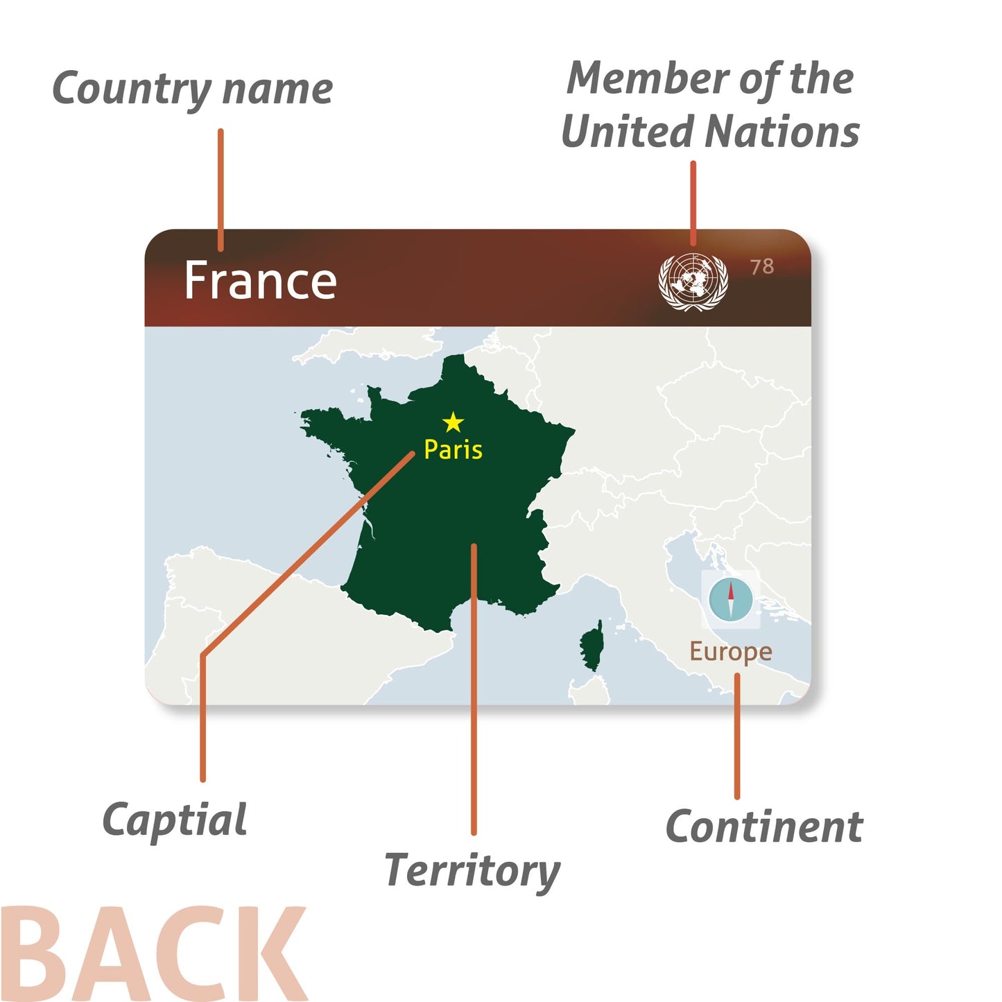 CARDDIA | Collection of Country Flags Educational Flashcards | 242 Flags with Country Names