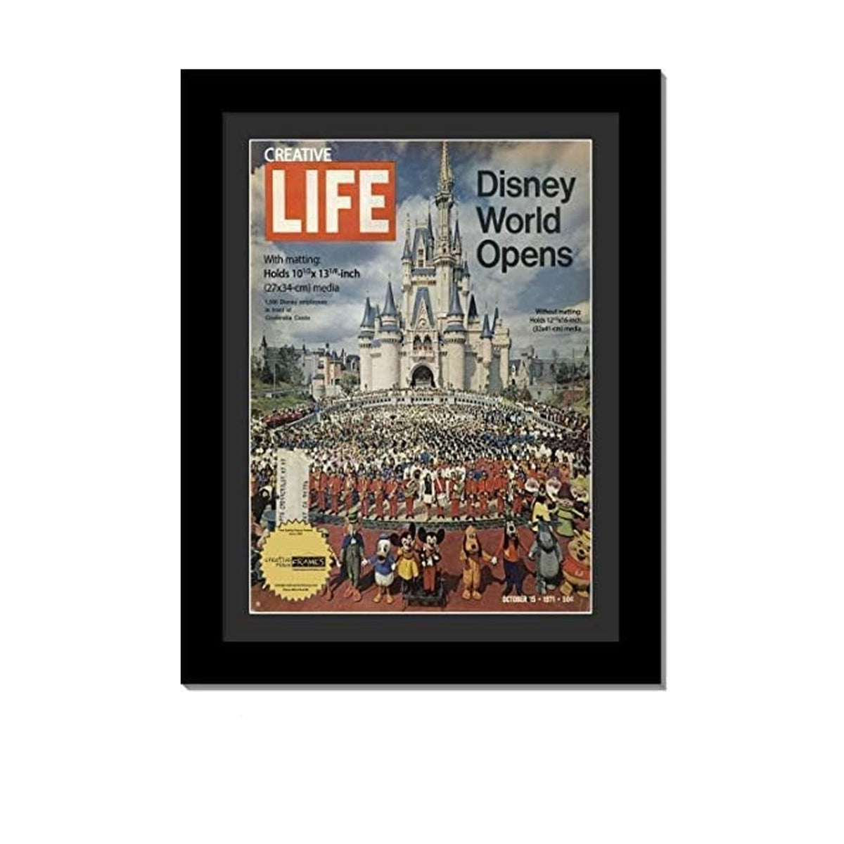 Creative Picture Frames 10.5 x 13.12 Magazine Frame with Full-Strength Glass, Holds Up To A 1/4"
