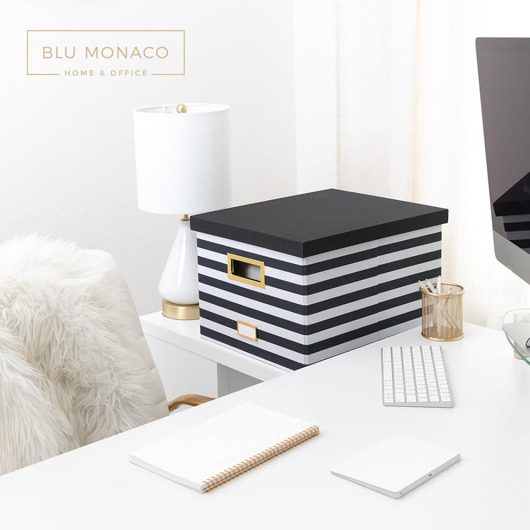 BLU MONACO | Decorative Hanging File Box with Lid | File Bins with Lids for Desk Storage | Desktop