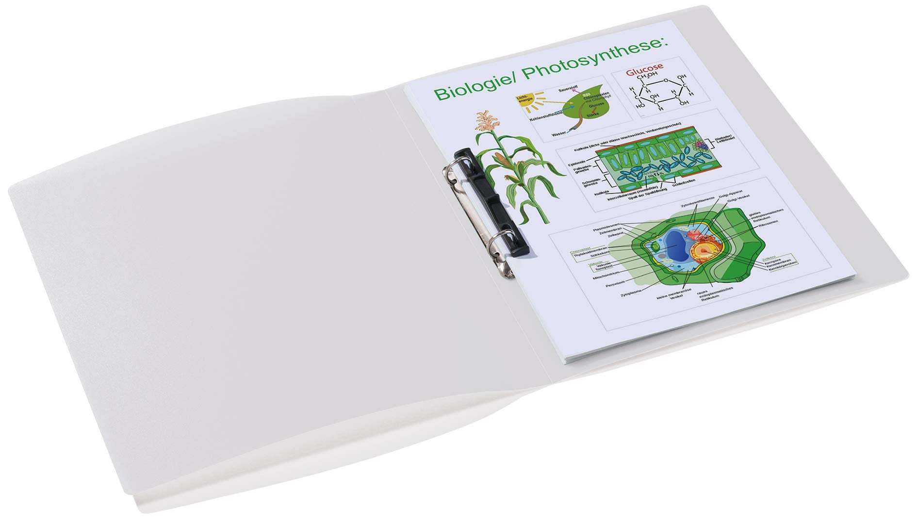 HERMA Ring Binder Translucent in White, A4, 25 mm Spine, Slim 2-Ring Binder Made of Plastic