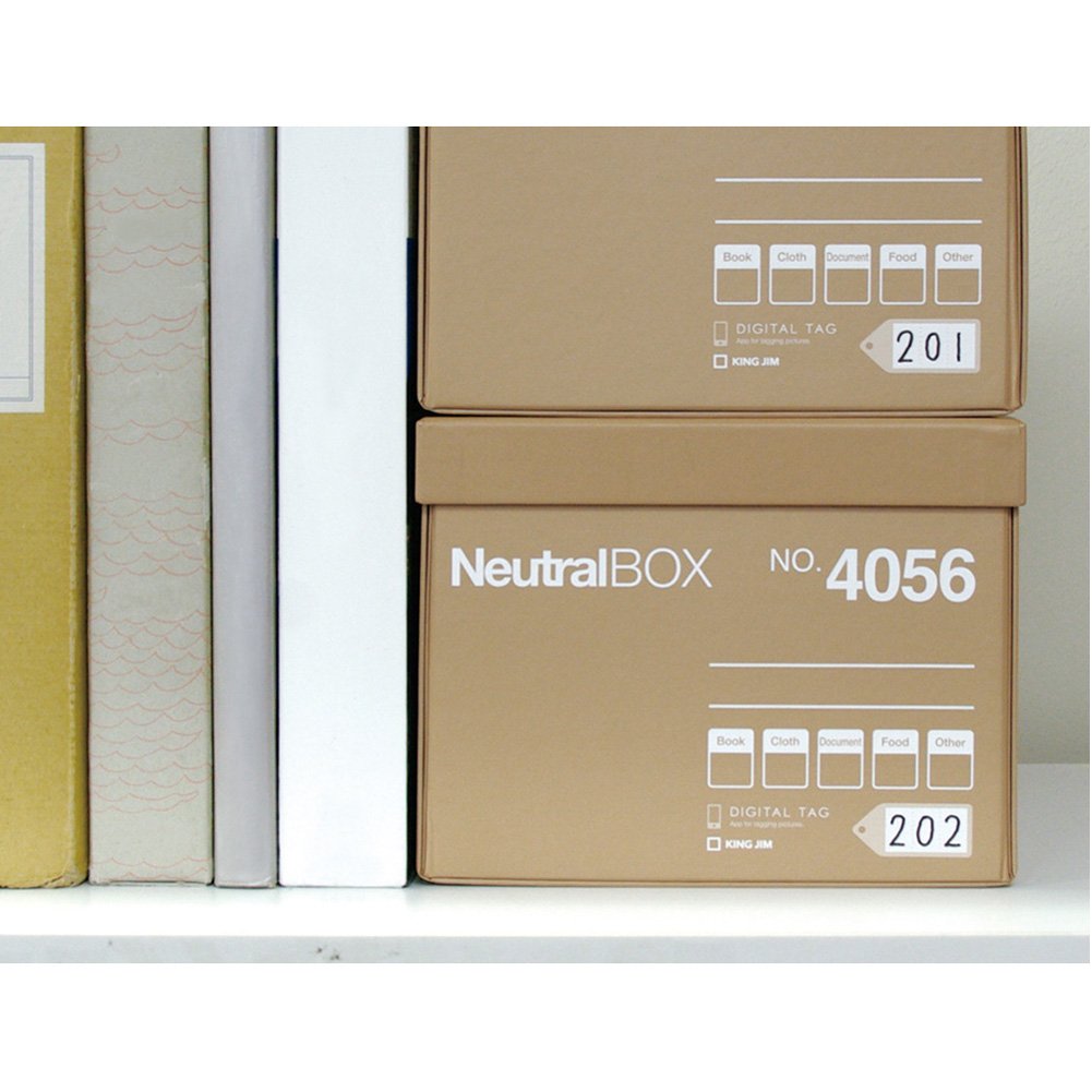 Kingjim Storage Box, Neutral Box, Large, White, 4057 White