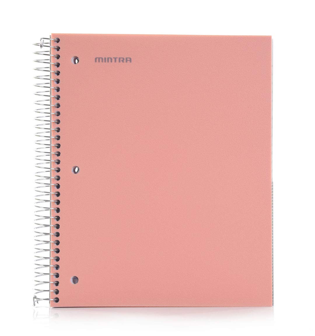 Mintra Office Durable Spiral Notebooks, 5 Subject (Salmon, Wide Ruled 1pk)