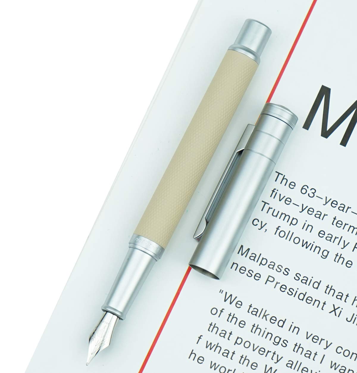 Hongdian Silver Birch Forest Fountain Pen Bent Nib Beautiful Tree Texture Excellent Writing Gift Pen