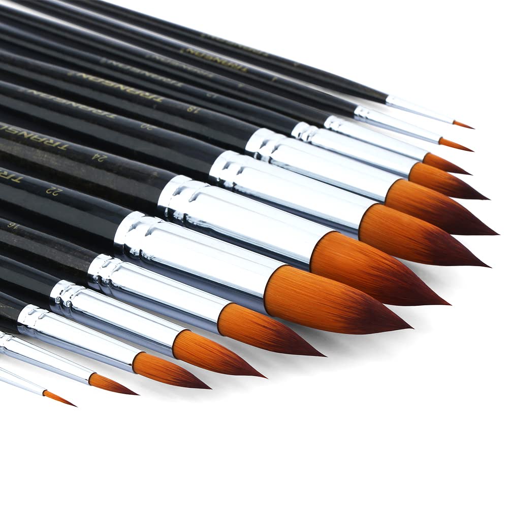Transon 13pcs Round Paint Brush Set Synthetic Bristle Complete Round Brush Set for Watercolor