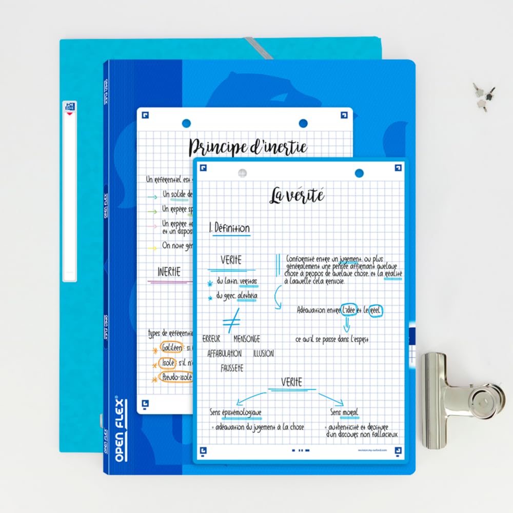 OXFORD Revision 2.0 Pack of 50 Bristol Cards A5 (14.8 x 21 cm) Small Squares on Both Sides - Frame