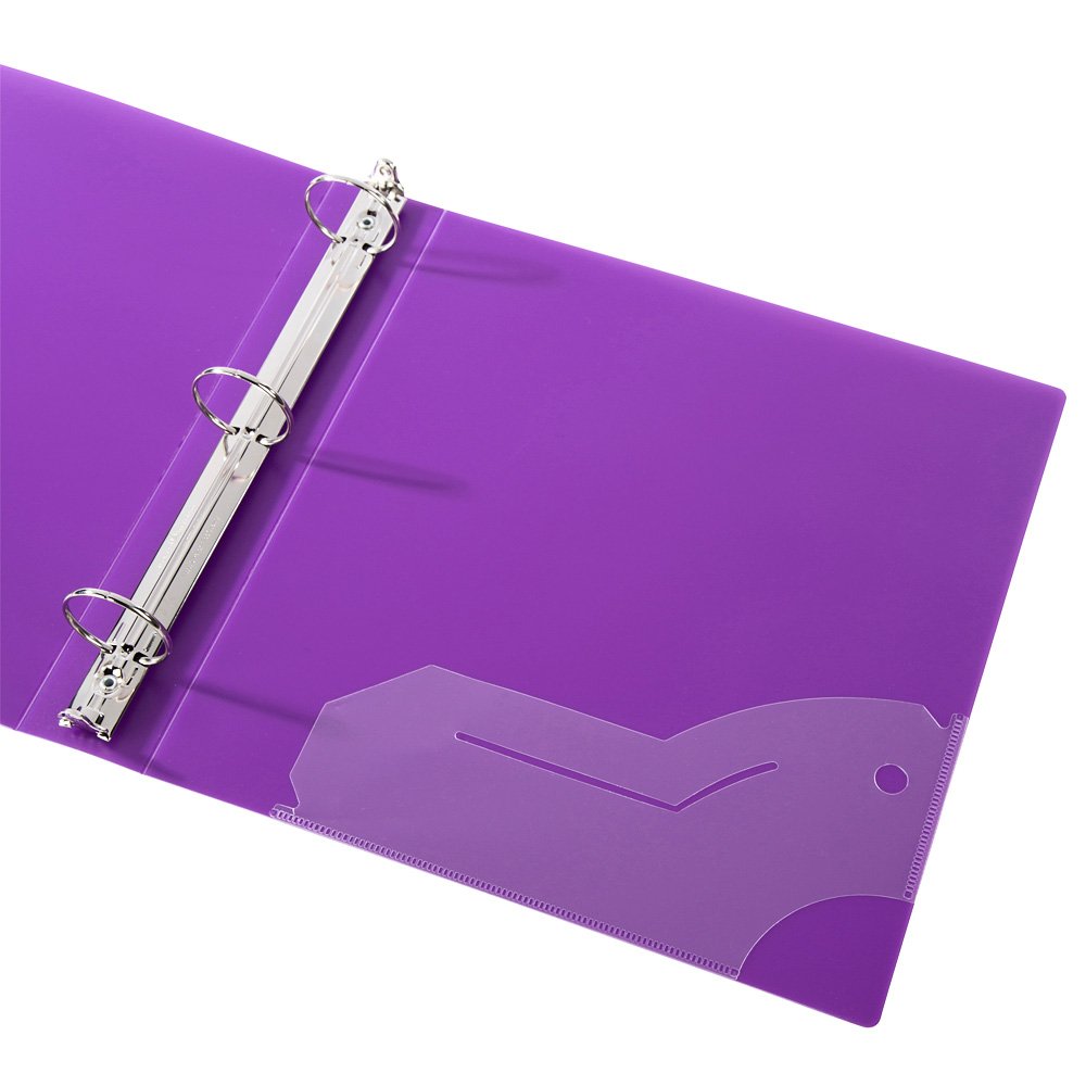 Filexec 50003-6492 6492, 1" Frosted Ring Binder, Set of 6, 6 Assorted Colors, Blueberry