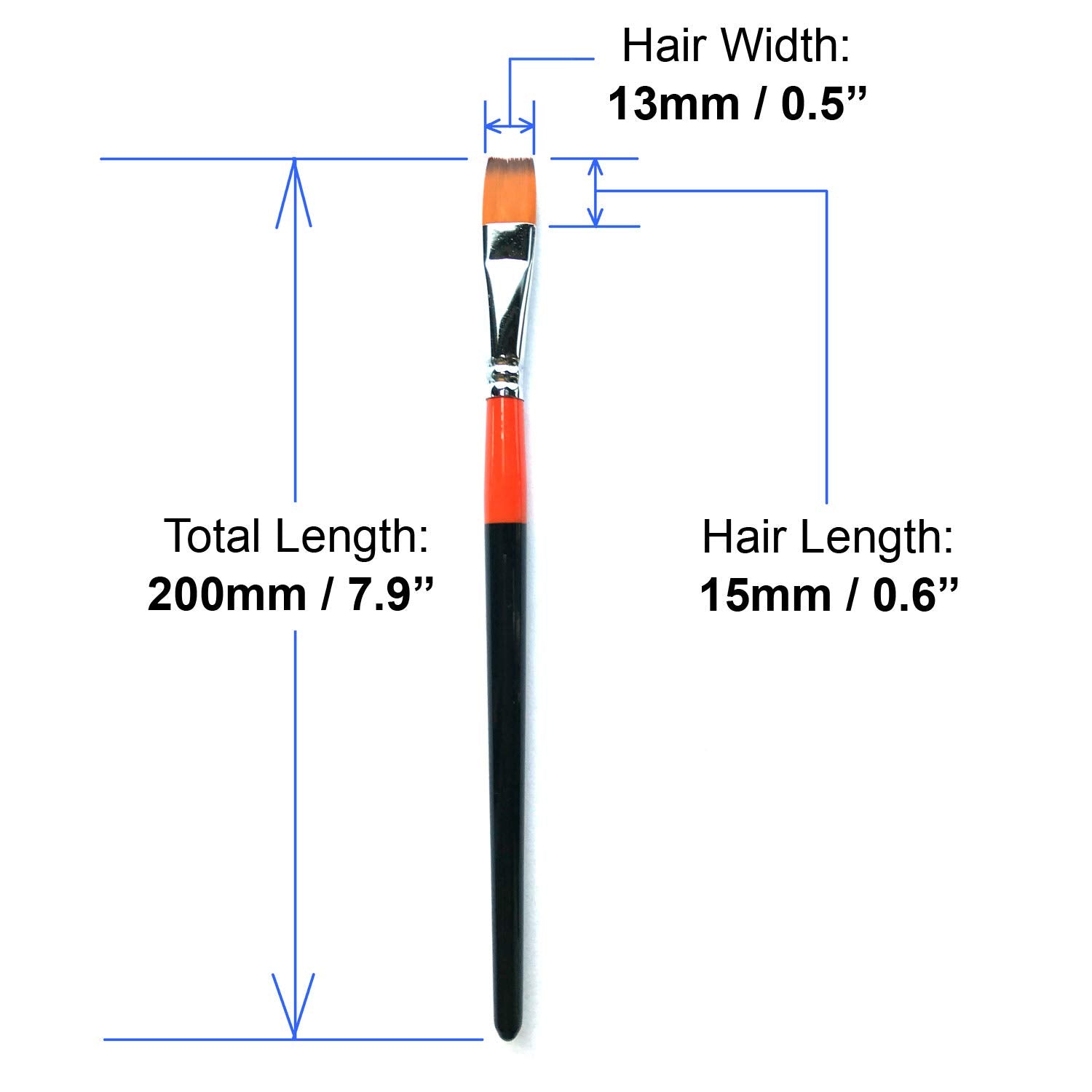1/2 Inch Flat Bright Paint Brush Set of 12, Premium Taklon Synthetic Hair