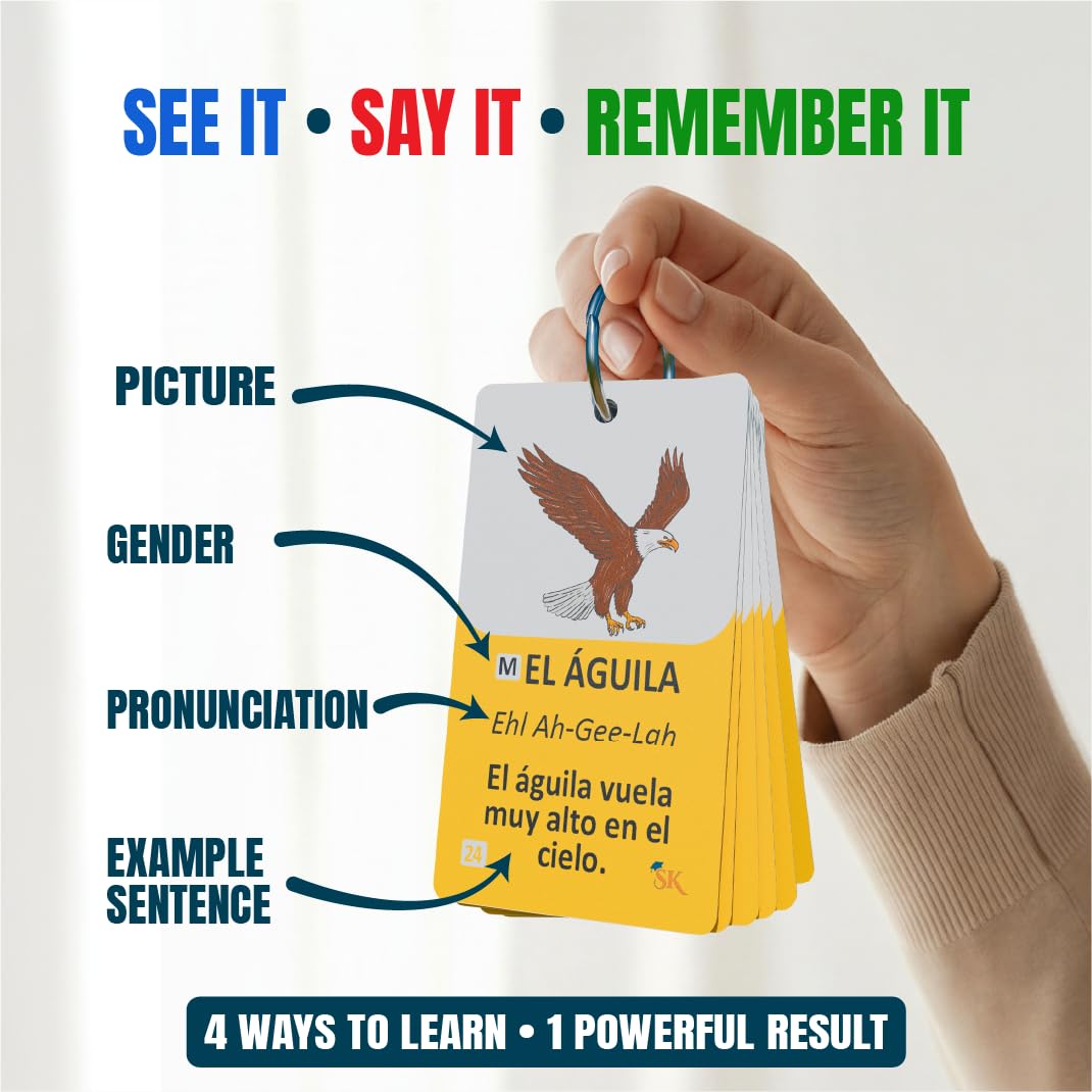 300 Bilingual English Spanish Flash Cards for Adults & Kids Ages 12+
