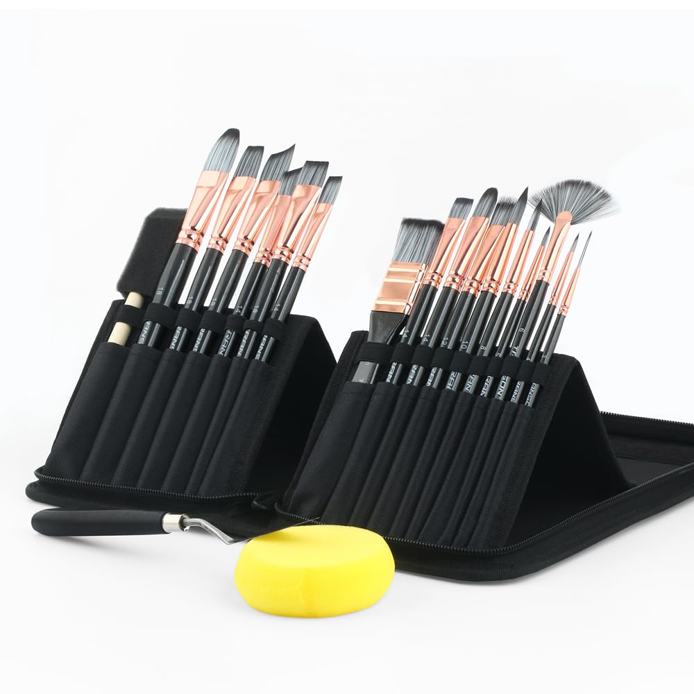 Transon 20Pcs Art Paint Brush Kit with Storage Case, 16 Brushes + Foam Brush Spatula Sponge for