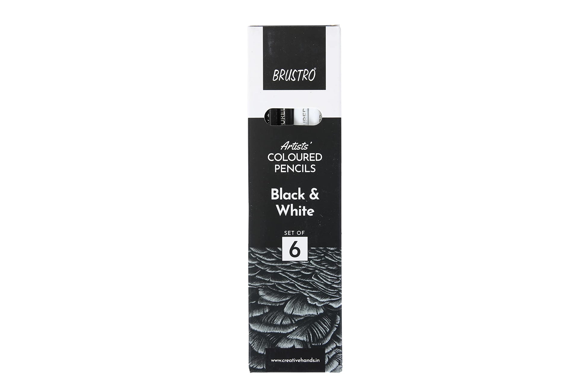 Brustro Artists’ B &W Coloured Pencils Set of 3 Whites and 3 Blacks