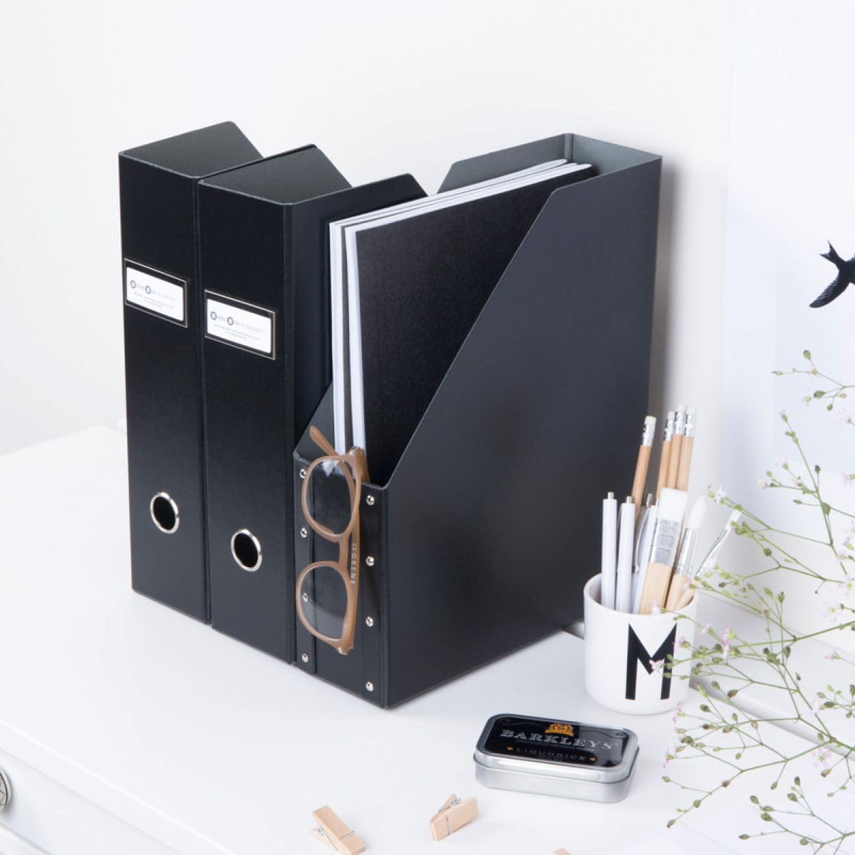Bigso Fiona 3 Piece Fiberboard Upright Magazine Storage Boxes for Papers with Metal Label Holder