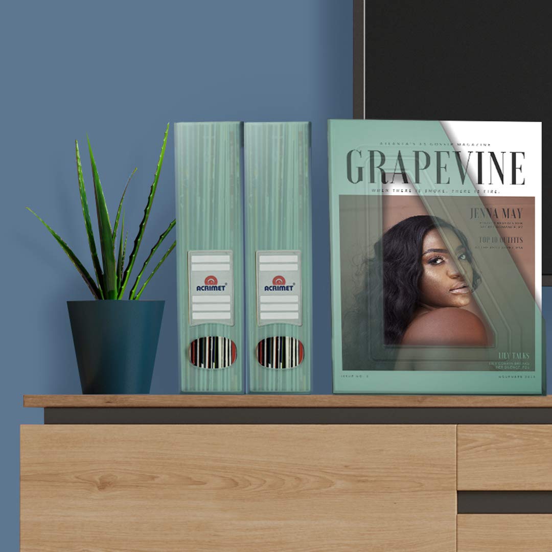 Acrimet Magazine File Holder, Vertical Desk Organizer, Clear Green, 2 Pack
