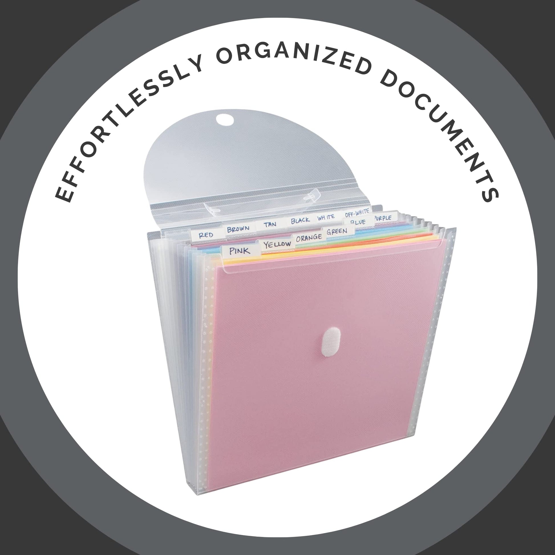 Advantus Expandable Paper Organizer, Accordion File Organizer, Important Document Holder, Clear