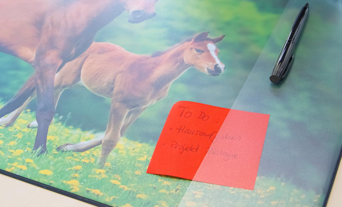 Idena 10454 Desk Mat with Two Pockets, Horse, Approx. 58.5 x 38.5 cm, Practical Accessory for