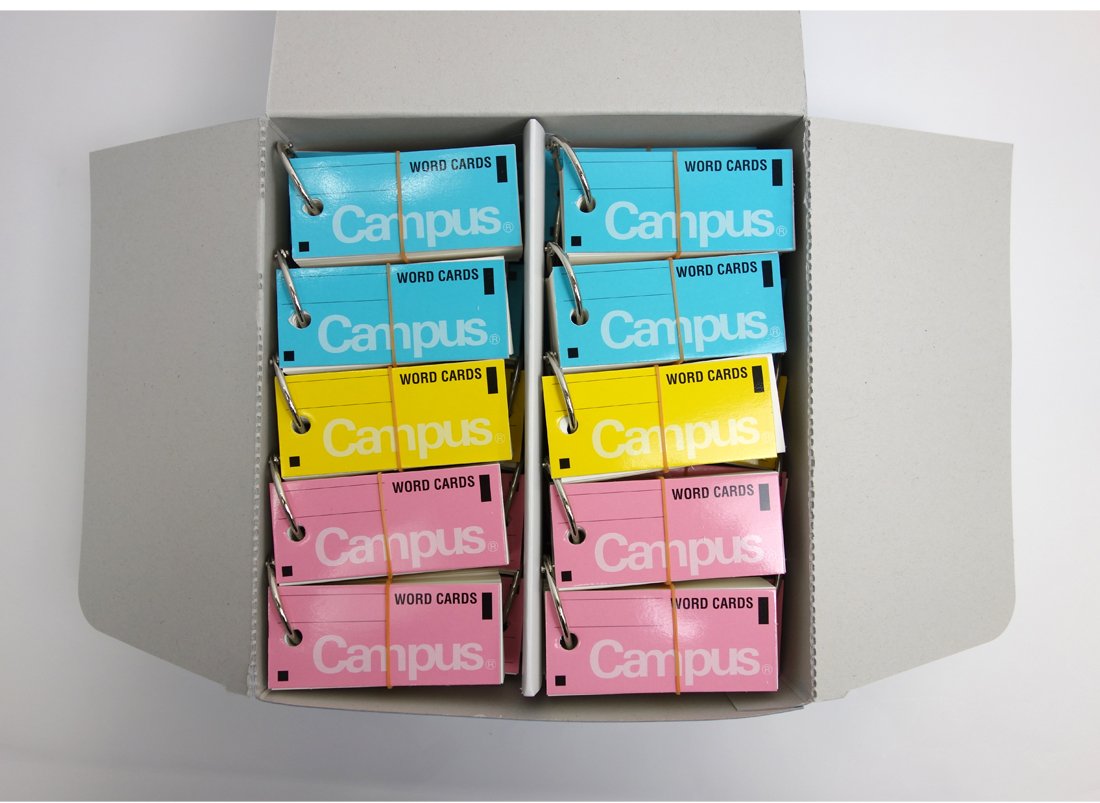 Kokuyo Campus Flash Cards with Binder Rings, Word Cards, Anki Cards, Mini Notecards, Medium Size