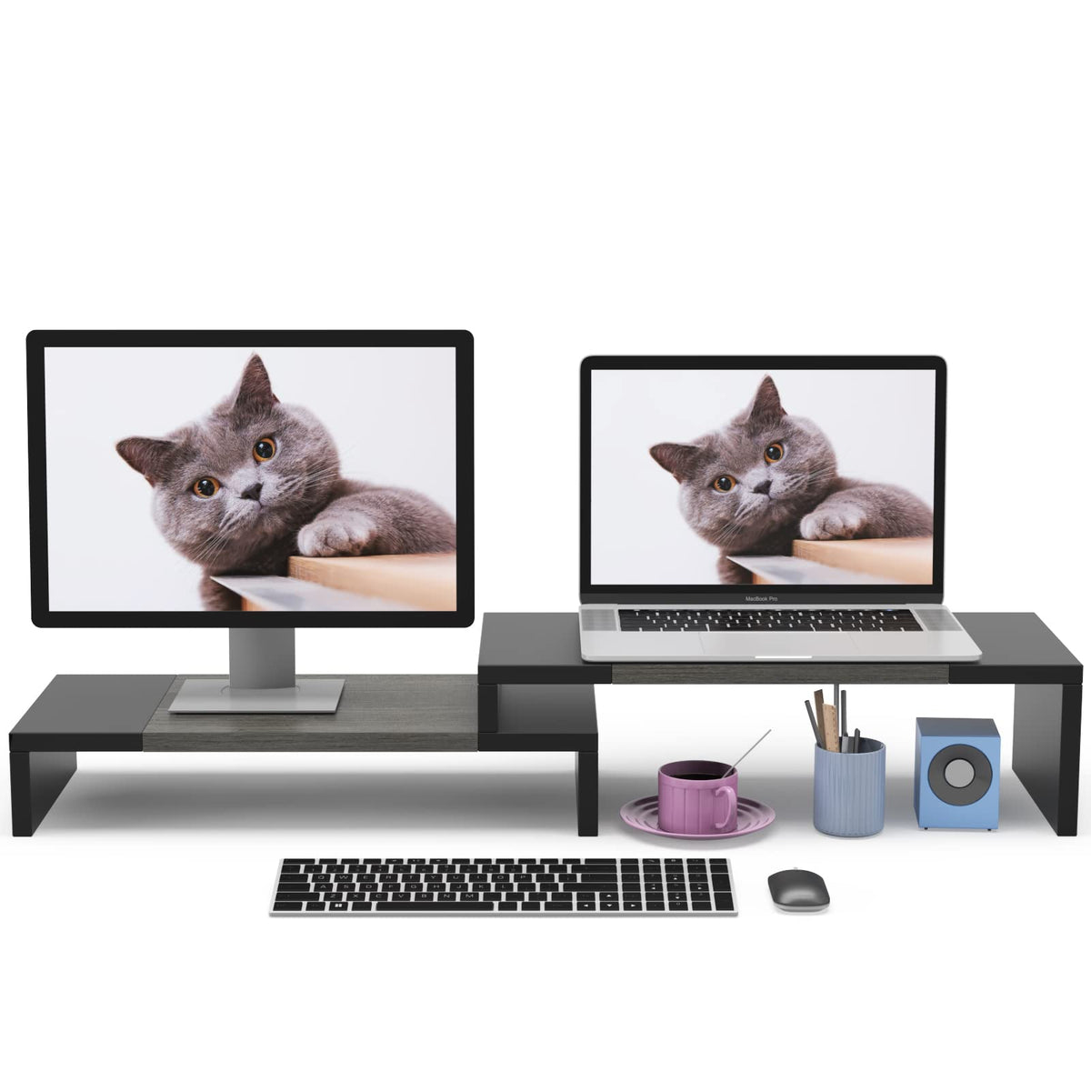 WESTREE Dual Monitor Stand Riser - 2 Shelf Computer Stand with Adjustable Length and Angle, Desktop