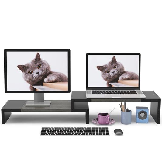 WESTREE Dual Monitor Stand Riser - 2 Shelf Computer Stand with Adjustable Length and Angle, Desktop