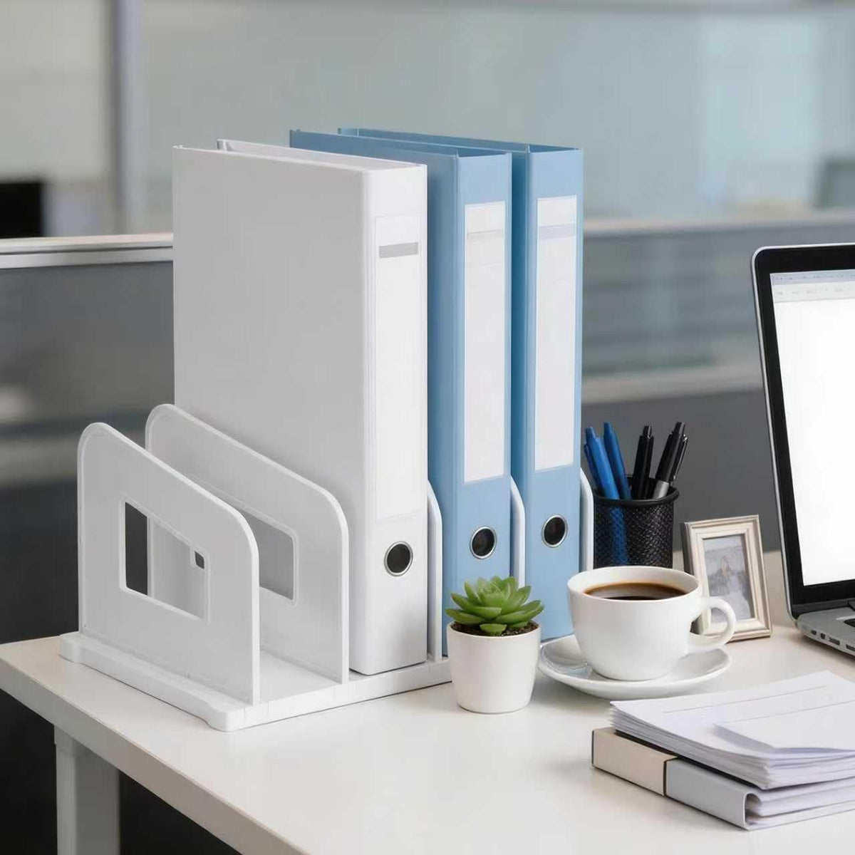 LALOBLUE File Organizer, Acrylic Folder Organizer File Sorter, Plastic Vertical Dividers for