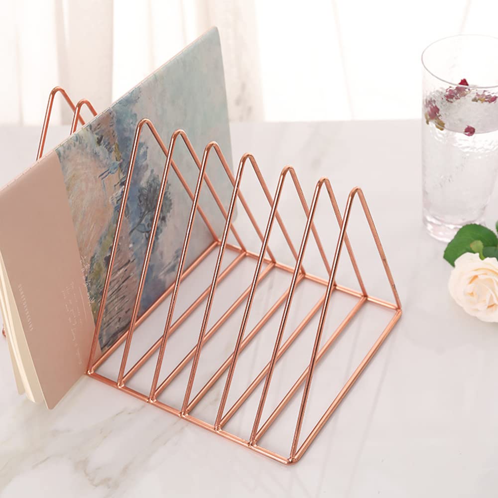 Sooyee 9 Slot Metal Record Holder Storage, Rose Gold