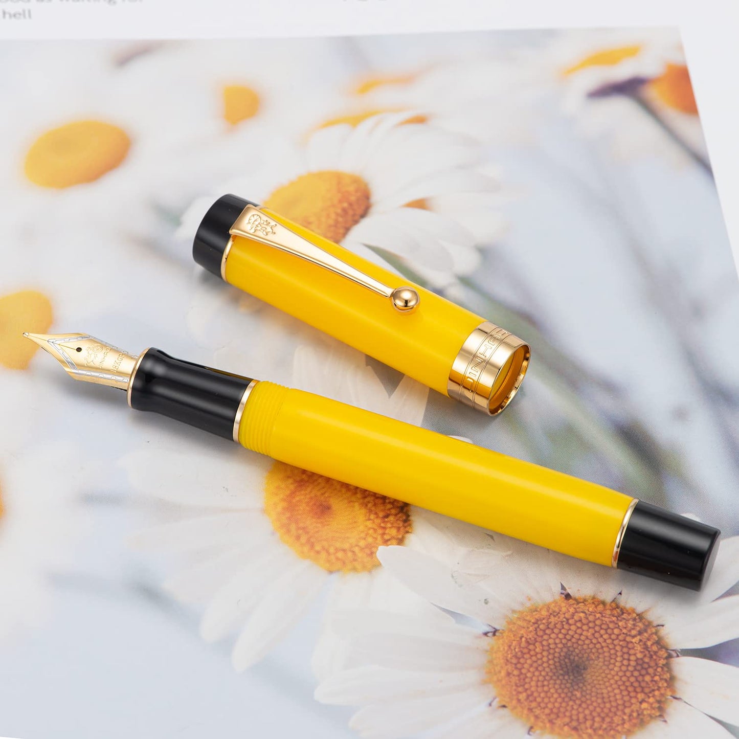 Jinhao Classic Fountain Pen Yellow Celluloid Acrylic Gold Trim, Extra Fine Nib with Conveter and