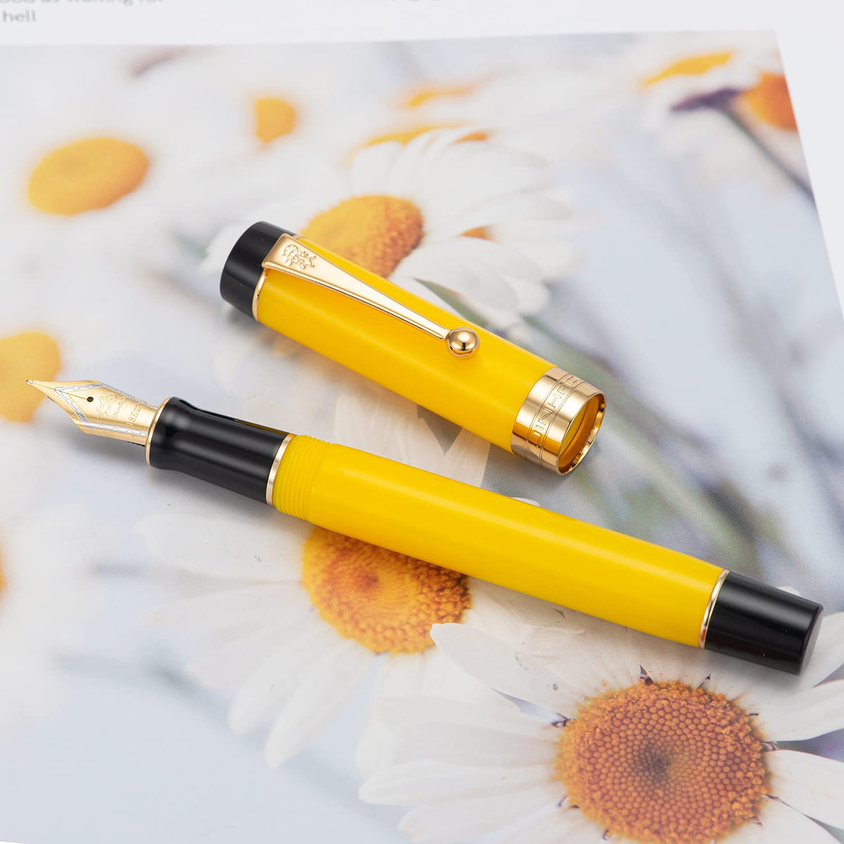 Jinhao Classic Fountain Pen Yellow Acrylic Gold Trim, Fine Point with Conveter and Pen Case Set