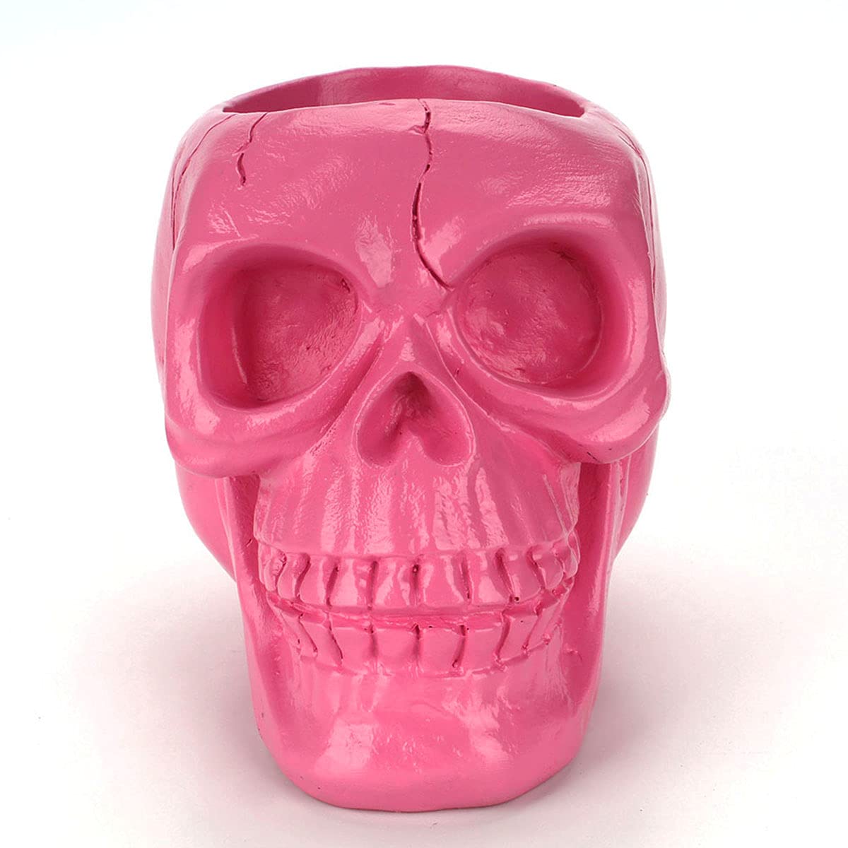 UnionKK Creative Skull Head Makeup Brush Holder,Make Up Brush Case,Organizer Cosmetic Organizer,Pen