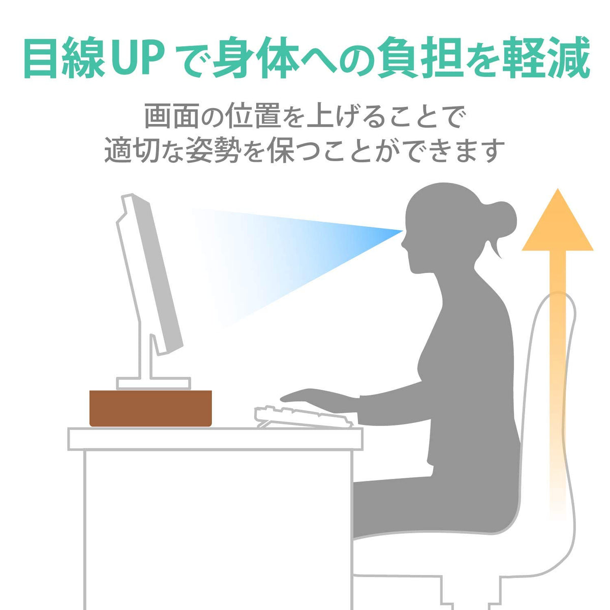 Elecom PCA-DPSS508BK Display Stand, Monitor Stand, PC Stand, Width 19.7 x Depth 8.0 x Height 3.2