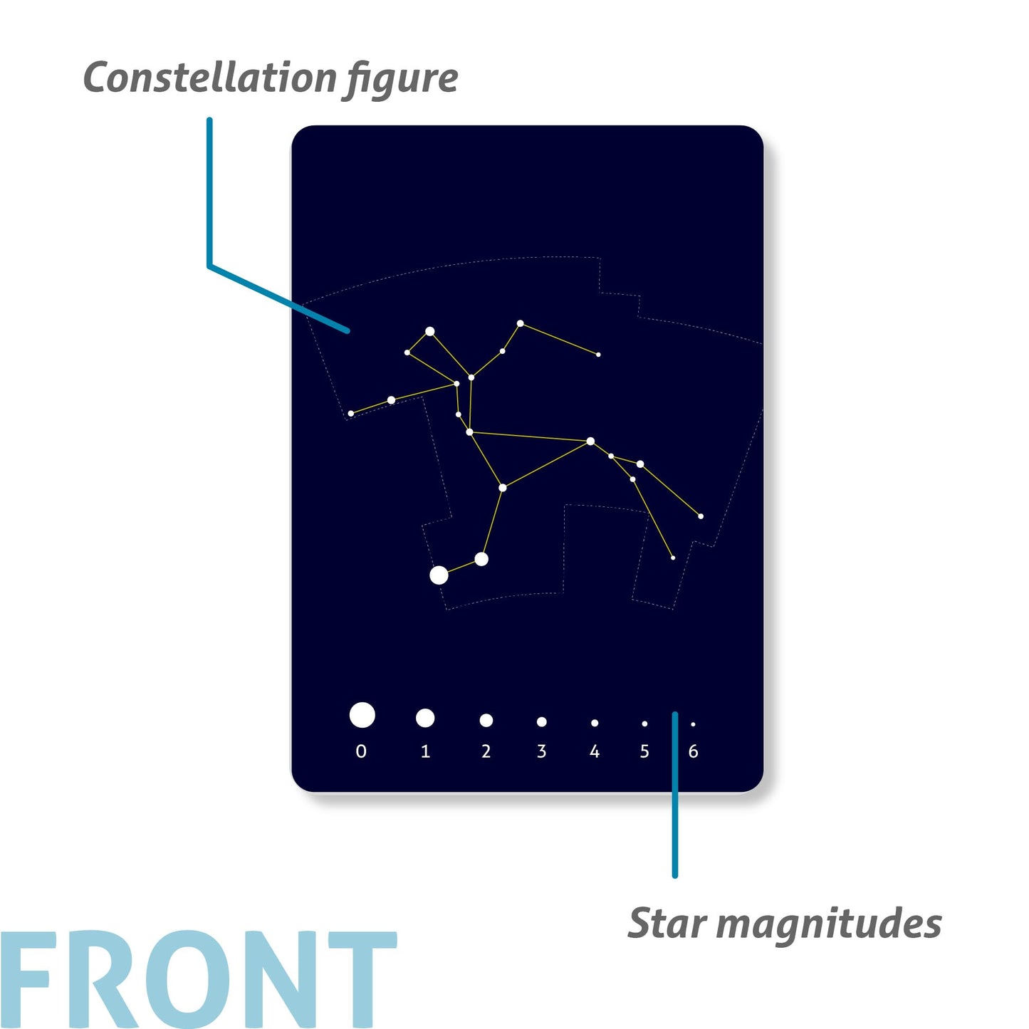 CARDDIA | The 88 Astronomical Constellations Educational Flashcards | Ideal for Astronomy Students