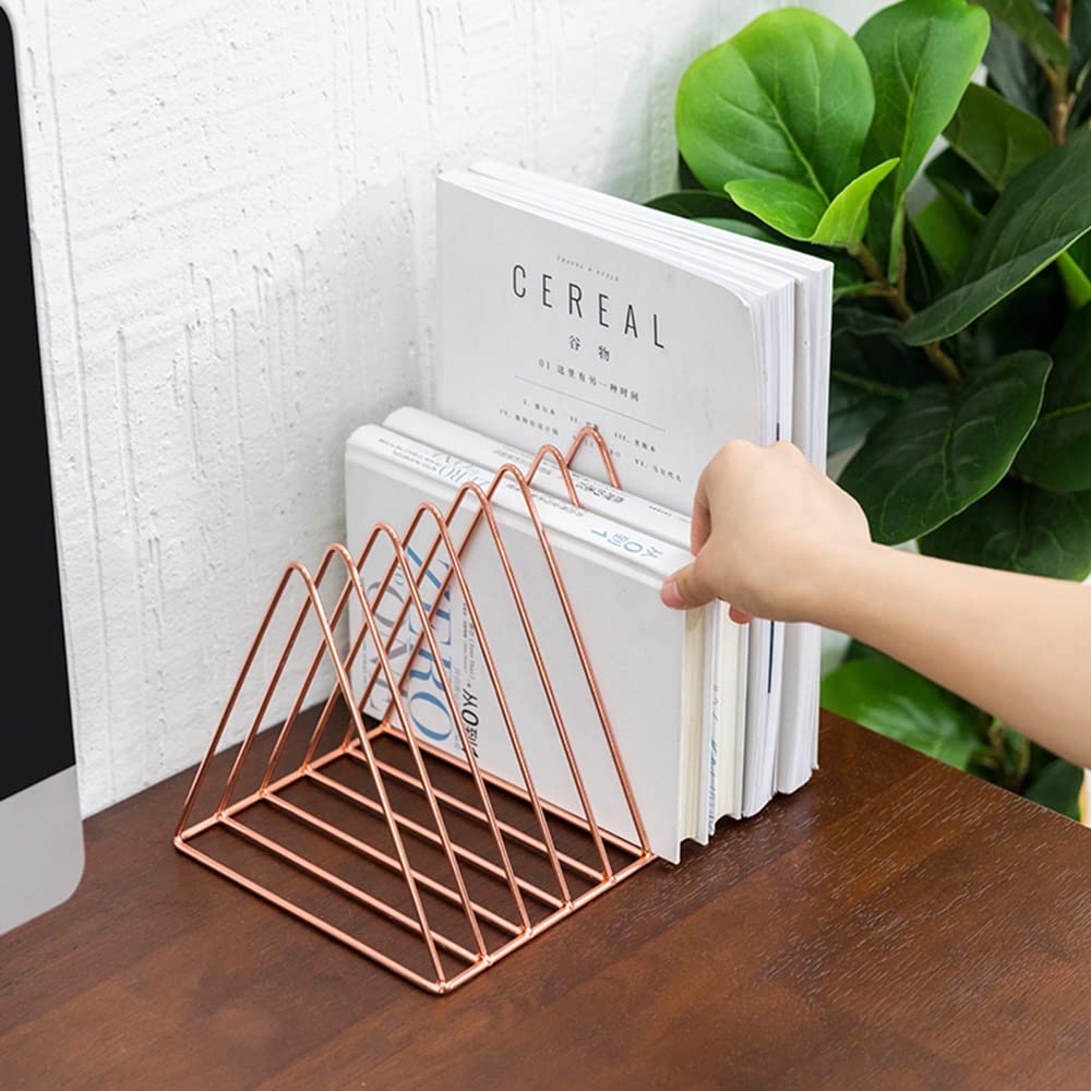Sooyee 9 Slot Metal Record Holder Storage, Rose Gold